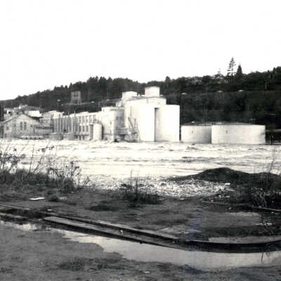 1964 Flood - Willamette River, West Linn side