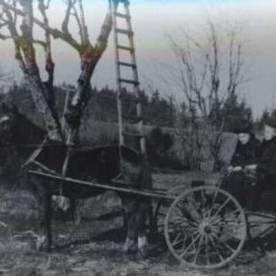 Holmes Sisters - 1902