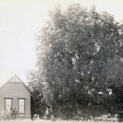 Unidentified House with large tree.