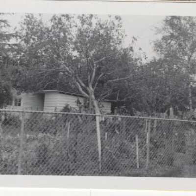 Columbus Day Storm Damage - 1962