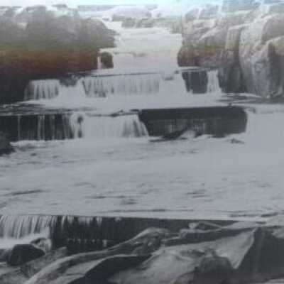 Willamette Falls Fish Ladder - 1912