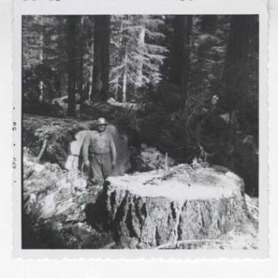 Logging