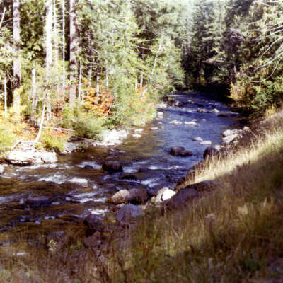 Stream view, 1970.: Copyright: Clackamas County Historical Society; Origsize: 3x5; Origformat: Print-Photographic