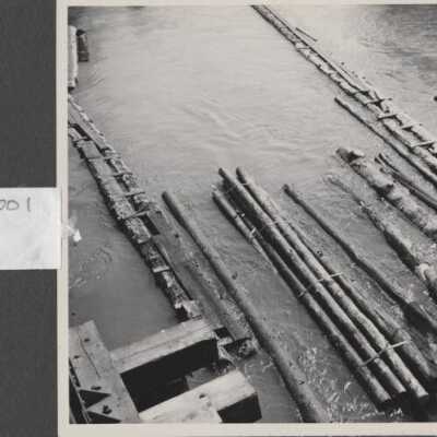 Lumber Industry