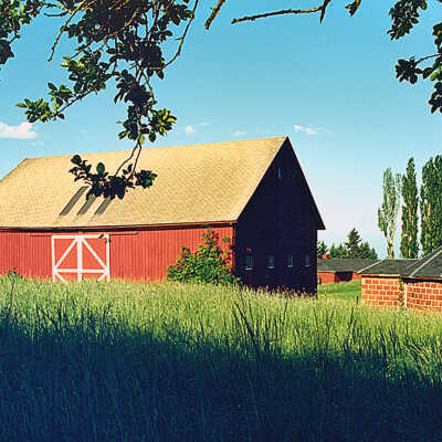 Red Barn, South of Idleman Road. 1989