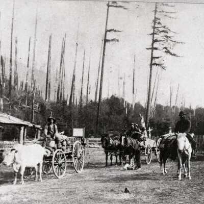 Toll Gate near Rhododendron and Mt. Hood. 1872