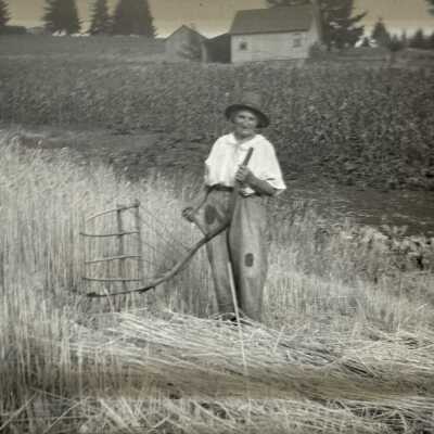 Cradling Grain #2
