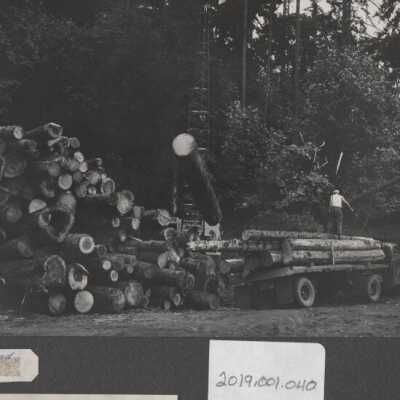 Lumber Industry