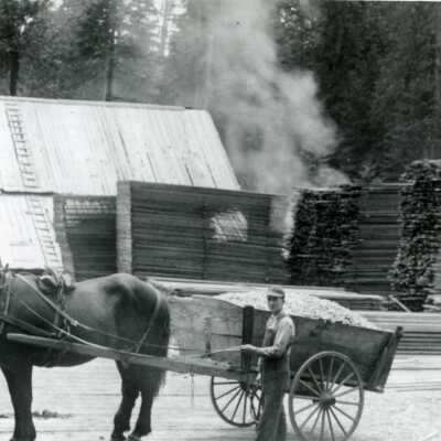 Nelson and Jarl Sawmill 1910 - Near Sandy, Oregon