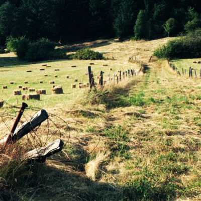 Tractor Road and Hay in Happy Valley, 1980s.: Copyright: Clackamas County Historical Society; Origformat: Other