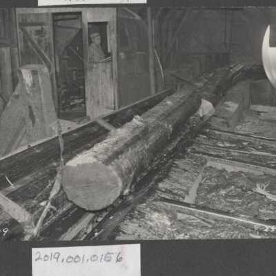 Lumber Industry