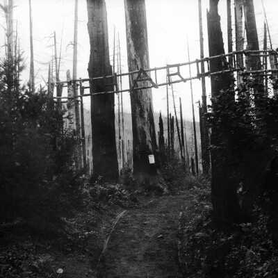 Mt. Hood, buildings, forest, stream, bridge Sharon's Track, road.: Copyright: Clackamas County Historical Society; Origsize: 5x7; Origformat: Print-Photographic