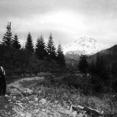 Mt. Hood, buildings, forest, stream, bridge Sharon's Track, road.: Copyright: Clackamas County Historical Society; Origsize: 5x7; Origformat: Print-Photographic