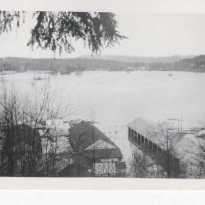 Flood - Willamette River