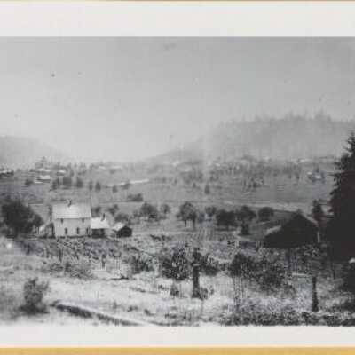 Town of Willamette 1900