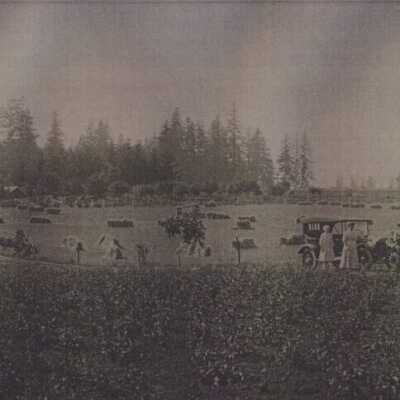 Herman Krause Farm Wilsonville