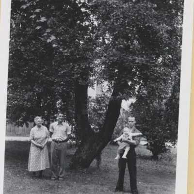 Oregon City 1936 - Abernethy Apple Tree