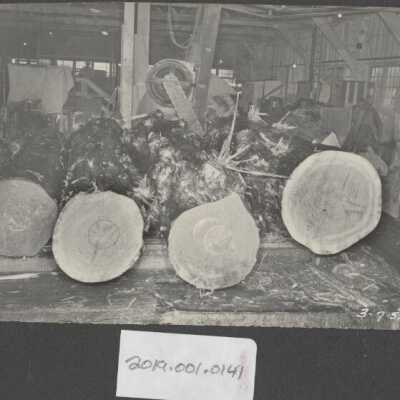 Lumber Industry