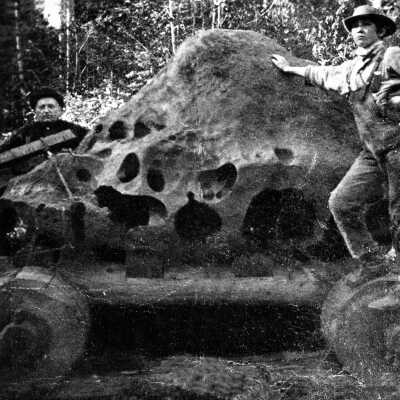 Willamette Meteorite 1902