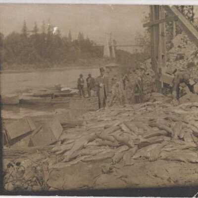 Salmon on Oregon City Beach
