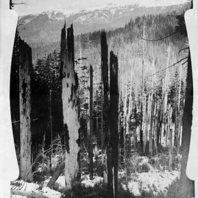 Ogle Mountain Mine