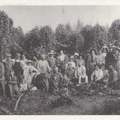 Hop Harvest Party at Byant Farm