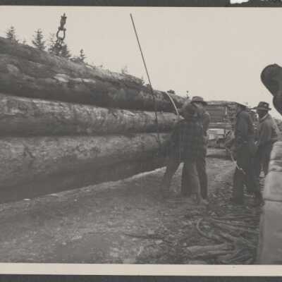 Lumber Industry