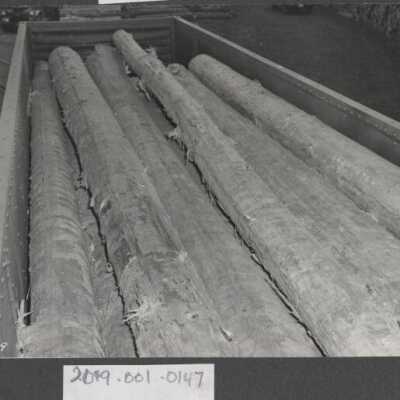 Lumber Industry