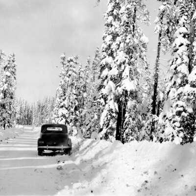 Mt. Hood winter scene