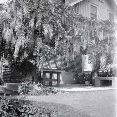 House Exterior with Wisteria.