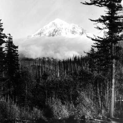 Mt. Hood views, burn areas.: Copyright: Clackamas County Historical Society; Origsize: 5x7; Origformat: Print-Photographic