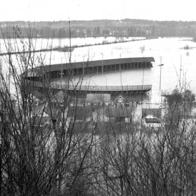 1964 Flood - Kelly Field - Oregon City
