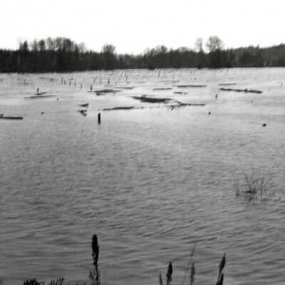 1943 Flood - Park Place Hop Yards