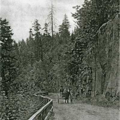 Horse and Buggy on South End Road, Oregon City.: Copyright: None; Origsize: 3" x 6"; Origformat: Print-Photographic
