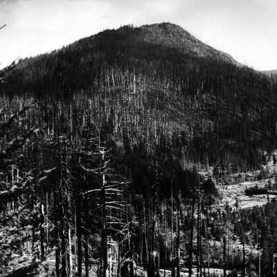 Mt. Hood views, burn areas.: Copyright: Clackamas County Historical Society; Origsize: 5x7; Origformat: Print-Photographic