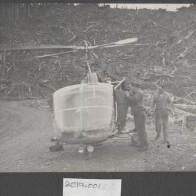 Lumber Industry