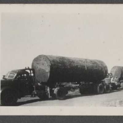 Lumber Industry