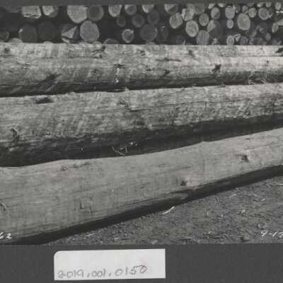 Lumber Industry