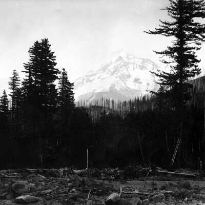 Mt. Hood views, burn areas.: Copyright: Clackamas County Historical Society; Origsize: 5x7; Origformat: Print-Photographic