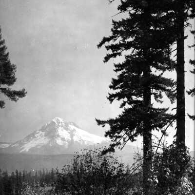 Mt. Hood views, burn areas.: Copyright: Clackamas County Historical Society; Origsize: 5x7; Origformat: Print-Photographic