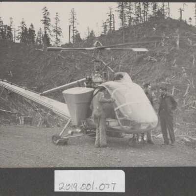 Lumber Industry