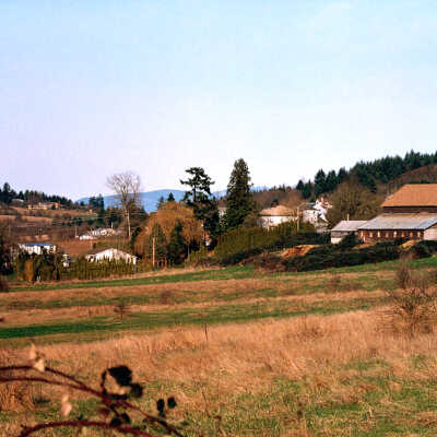 Happy Valley Pastoral Scene. 1980's