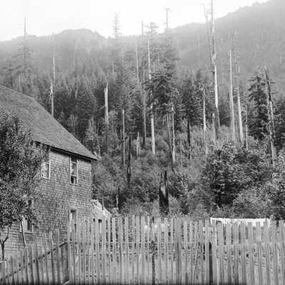 Mt. Hood area farm.