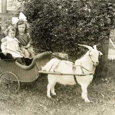 Marian Barry and Betty Milles in Goat Cart.