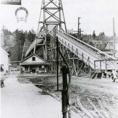 Oregon City/West Linn Temporary Suspension Bridge.