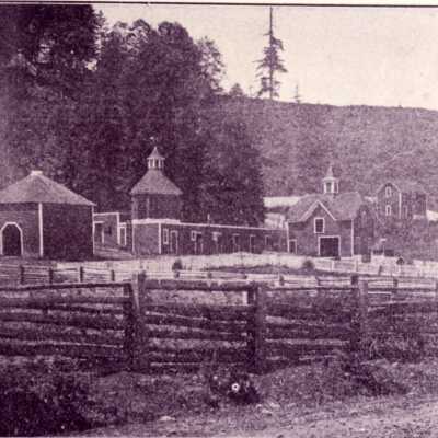 Fruitdale Stock Farm Near Oregon City 1905