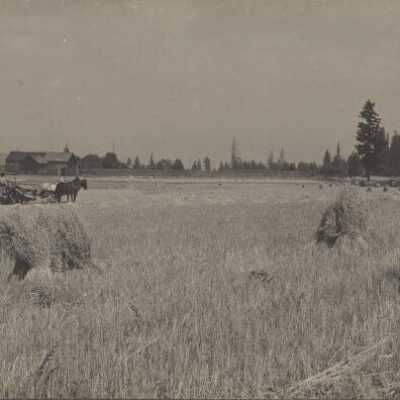 Snooks Farm Near Oregon City