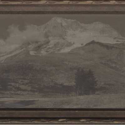 Mount Hood From Paradise Park