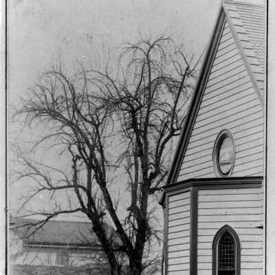 Oregon City 1892 - The Famous Apple Tree, (Methodist Apple Tree), 7th & Main