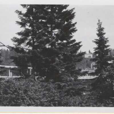 Oregon City - West Linn Bridge 1910